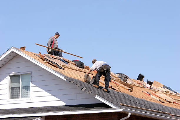 Best Cold Roofs  in Oli, PA